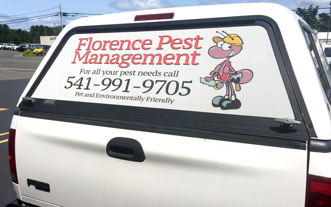 Florence Pest Management – See-Through Window Vinyl