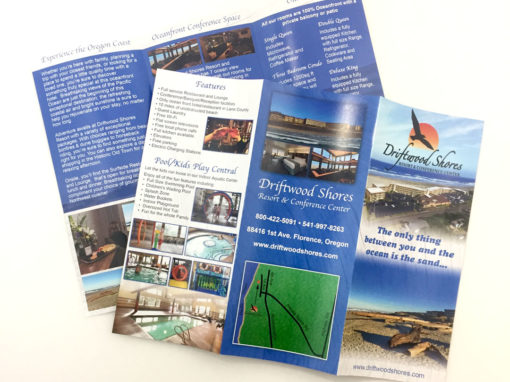 Driftwood Shores – Brochure