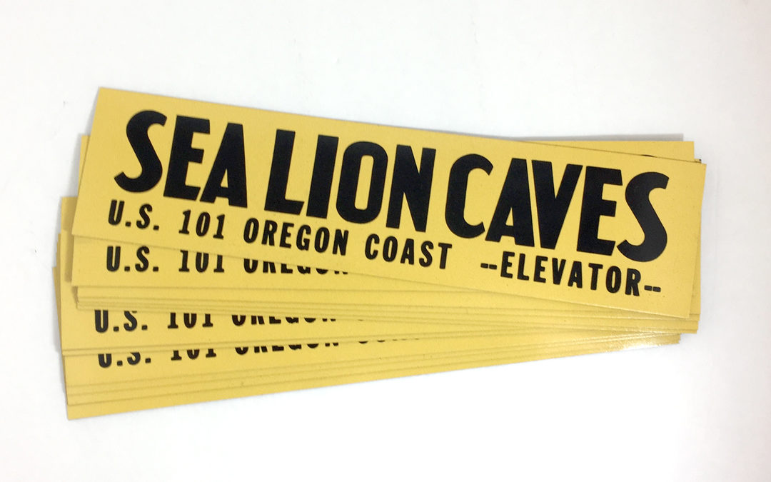 Sea lion Caves – Car Magnets